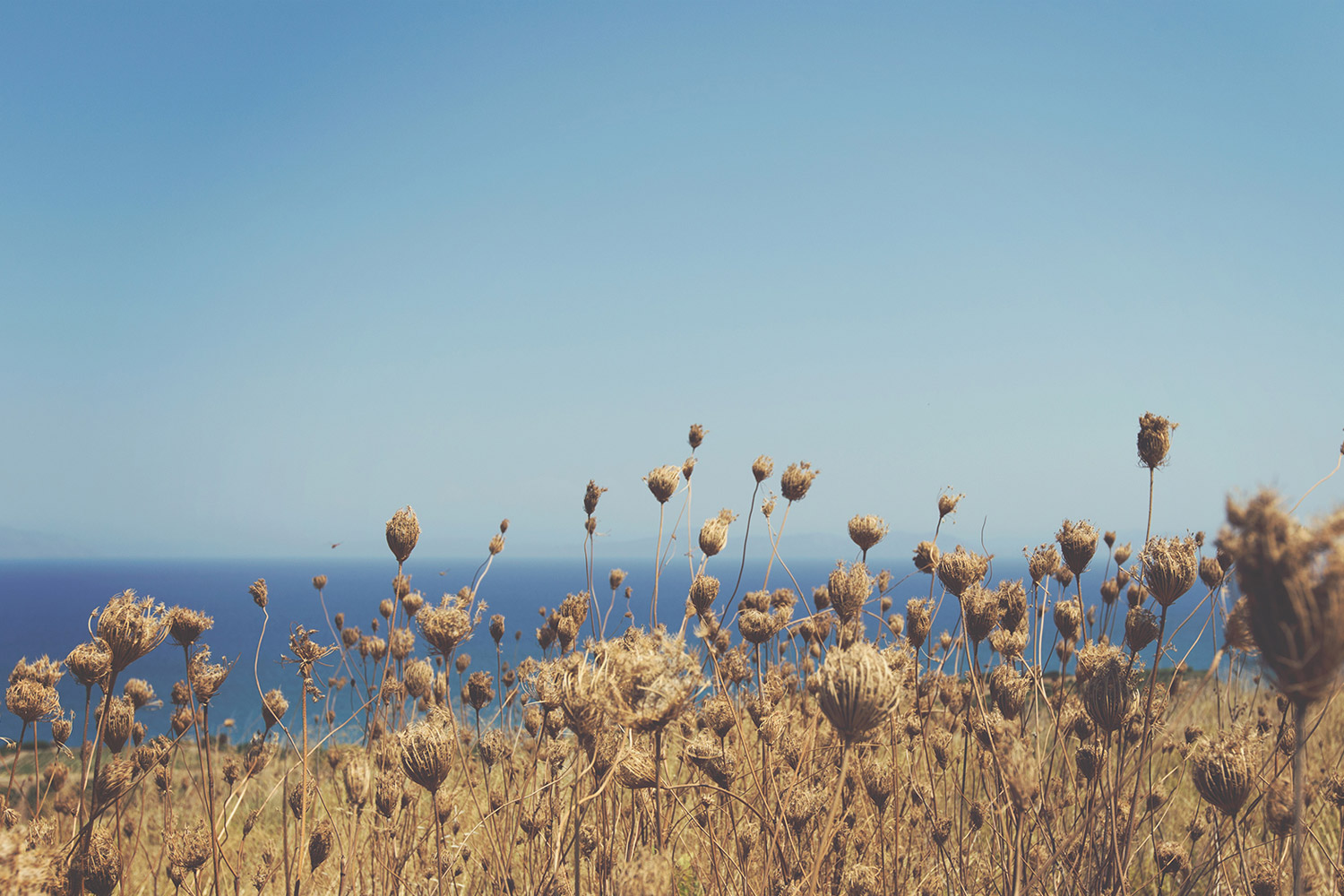 placeholder image-sq